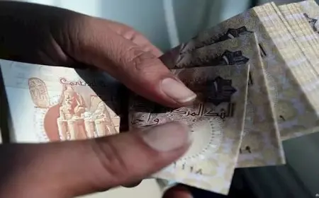 الجنيه يعزز مكاسبه مجددا ويقفز إلى أعلى مستوى له مقابل الدولار في عام.. فما الأسباب؟