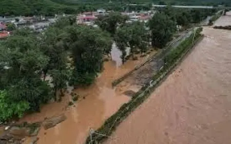 ليتوانيا تعلن حالة الطوارئ بالقطاع الزراعي بسبب الأمطار الغزيرة