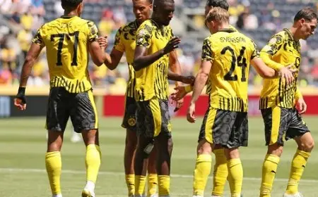 فاتسكه يعلن ترشحه لرئاسة بوروسيا دورتموند