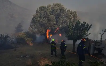 اليونان تشهد تحسنا طفيفا في حرائق الغابات.. وحريق خيوس لا يزال الخطر الأكبر