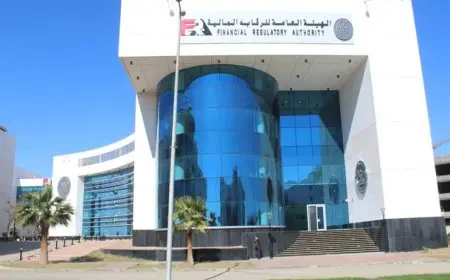 الرقابة المالية تصدر معايير الملاءة المالية للشركات والجهات العاملة في أنشطة التمويل غير المصرفي