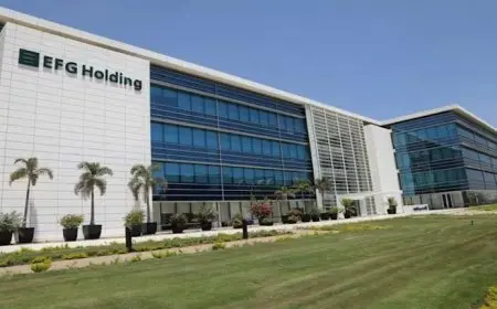 “إي اف جي القابضة”تسعى لاقتراض 2.3 مليار جنيه من بنك QNB