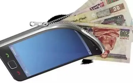 تعرف على طريقة إلغاء المحافظ الإلكترونية من “MY NTRA”