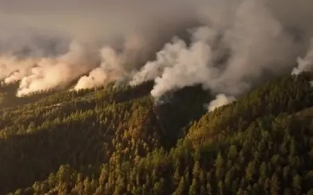 التغير المناخي فاقم من موجات الحر في دول الشمال خلال يوليو الماضي