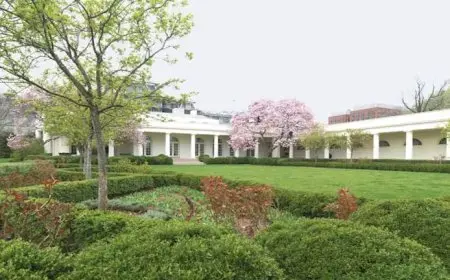 البيت الأبيض: ترامب لديه عدة خيارات لإنهاء الحرب بأوكرانيا لكنه يفضل الدبلوماسية