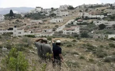 الأمم المتحدة: هجمات المستوطنين على فلسطينيي الضفة بلغت مستوى قياسيًا