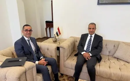 وزير الخارجية يؤكد علي أهمية تعزيز التواجد الاقتصادي المصري في القارة الإفريقية