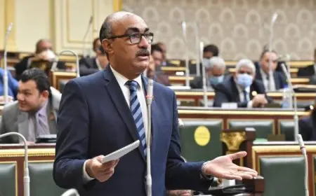 النائب إيهاب منصور يسأل الحكومة عن قرار زيادة أسعار الكهرباء.. ويصفه بعقاب مضاعف للمواطنين