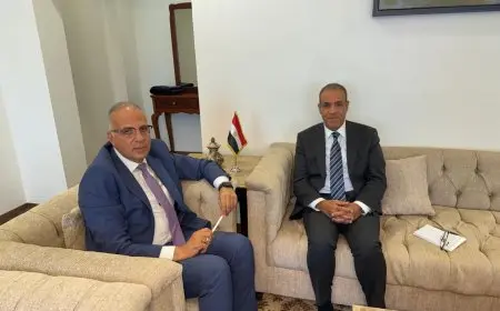 وزيرا الخارجية والري يبحثان حماية الأمن المائي المصري وقضايا نهر النيل