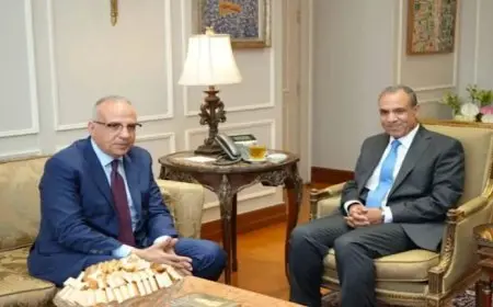 الخارجية والري تبحثان تعزيز التعاون مع دول حوض النيل