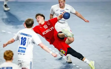 تأهل الدنمارك والسويد لنصف نهائي مونديال اليد بعد الإطاحة بمنتخبي أيسلندا والنرويج