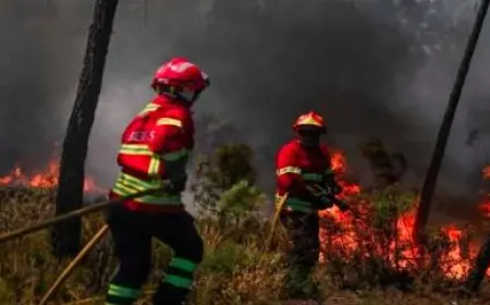 اليونان وإسبانيا والبرتغال في سباق لاحتواء حرائق الغابات