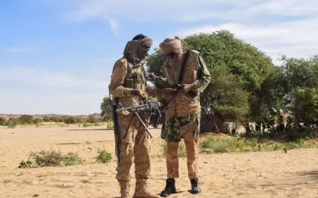 مالي تعلن إحباط محاولة انقلاب وتوقيف متورطين بينهم مواطن فرنسي