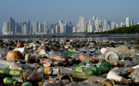 انتهاء محادثات جنيف حول معاهدة مكافحة التلوث البلاستيكي بلا اتفاق