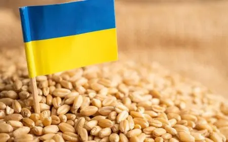 تقرير: انخفاض الصادرات الأوكرانية بنسبة 4.2% في النصف الأول من عام 2025 