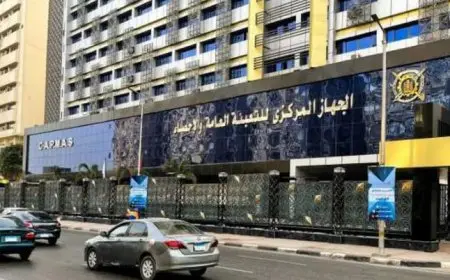 الإحصاء: 78.2% نسبة المتعطلين من حملة المؤهلات المتوسطة والجامعية بالربع الثانى من 2025