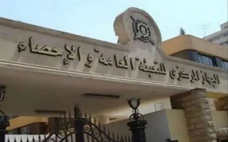 الإحصاء: ارتفاع عدد المشتغلين 0.7% لـ 31.559 مليون فرد خلال الربع الثاني من العام الحالي