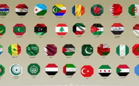 وزراء خارجية 31 دولة عربية وإسلامية يدينون تصريحات نتنياهو وخطة الاستيطان الإسرائيلية