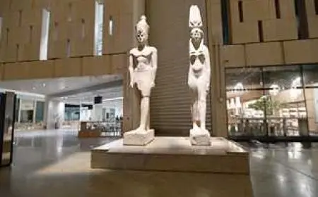 إخلاء سبيل صاحب فيديو المتحف المصري الكبير