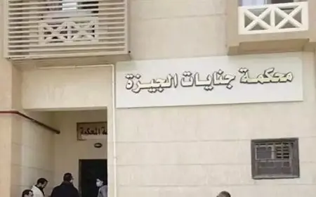 خلاف على زواج سيدة.. الحكم على سائق قتل شابًا في بولاق الدكرور