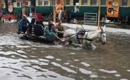 ارتفاع حصيلة ضحايا الفيضانات في شمال غرب باكستان إلى 220 شخصا