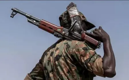 لماذا تعتبر معركة كردفان حاسمة في الحرب السودانية؟