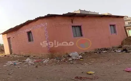 20 عامًا من الغلق.. مركز شباب بكفر الشيخ يتحول لأطلال تسكنها القوارض (صور)