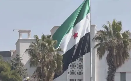 وقف تمدد حرائق الغابات في شمال غربي سوريا