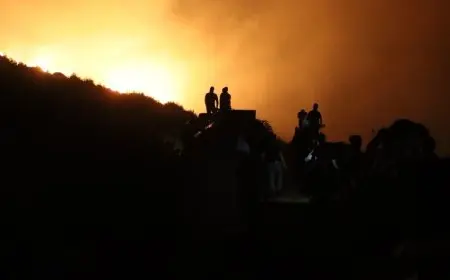 سوريا: السيطرة على 80% من الحرائق بريف اللاذقية الشمالي