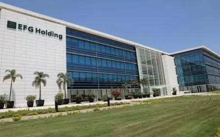 إى إف جى القابضة تحصل على تسهيل ائتمانى بقيمة 2.3 مليار جنيه من بنك QNB مصر