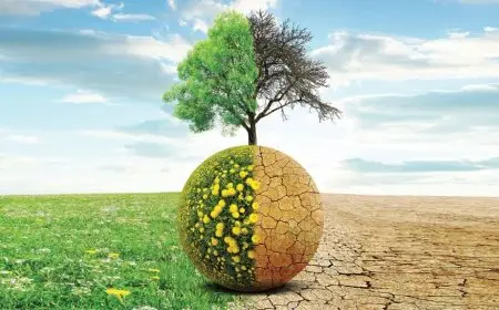 لماذا يعتبر نظامنا الغذائي كارثة مناخية؟‬