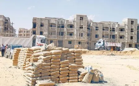 المجلس التصديرى للمقاولات والإنشاءات يعقد أول اجتماعاته فى سبتمبر المقبل لدعم التصدير