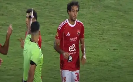 بعد شكوى الأهلي.. ماذا تقول اللائحة في أزمة طرد محمد هاني؟ (مستند)