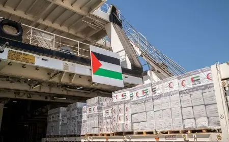 مساعد وزير الخارجية الإماراتي: نُدخِل إلى غزة نحو 50 شاحنة مساعدات يوميا بالتعاون مع مصر