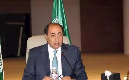 الجامعة العربية: نحاول أن نضع مجلس الأمن أمام مسؤولياته رغم الفيتو الأمريكي