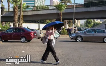 الأرصاد: غدا طقس حار رطب نهارا مائل للحرارة رطب ليلا.. والعظمى بالقاهرة 35