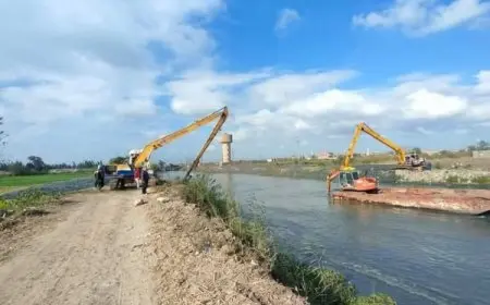 الري: نهو إحلال شبكات الصرف المغطى بزمام 72 ألف فدان خلال عام 2024 واستهداف 60 ألف فدان في 2025