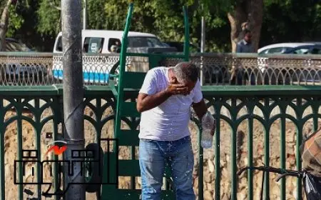 طقس اليوم.. الأرصاد: أجواء صيفية معتادة.. ونشاط رياح يساعد على تلطيف الأجواء مساء