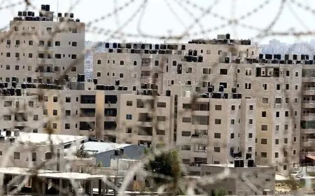 البرازيل: مخطط الاستيطان الإسرائيلي «إي 1» يهدد كيان دولة فلسطين