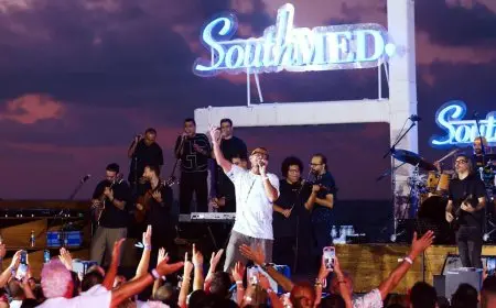 عمرو دياب يواصل تألقه في حفلات الساحل.. والجمهور يغني معه «خطفوني» و«بابا»