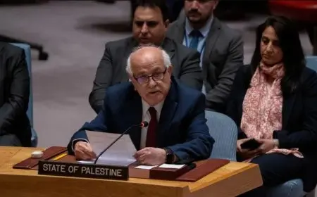 تحركات فلسطينية مكثفة بالأمم المتحدة لدعم حل الدولتين قبل الجمعية العامة في سبتمبر المقبل