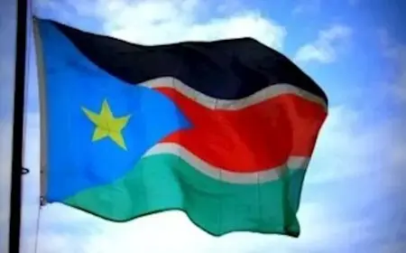 جنوب السودان تعلّق على إمكانية استقبال سكان من غزة.. ماذا قالت؟