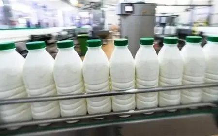 استجابة للمبادرة.. أسعار الألبان تتراجع بنسبة تصل إلى 15%