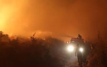 السيطرة على حرائق الغابات في شمال غربي سوريا