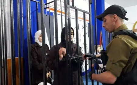 كلاب بوليسية وإذلال.. معتقلات فلسطينيات يتعرضن للتنكيل الإسرائيلي