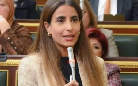 النائبة إيلاريا سمير حارص: التهجير القسري للفلسطينيين تصفية للقضية ومصر تواصل جهودها لمنع تنفيذه