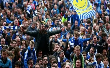 وفاة مشجع برايتون خلال مباراة الفريق ضد فولهام بالبريميرليج