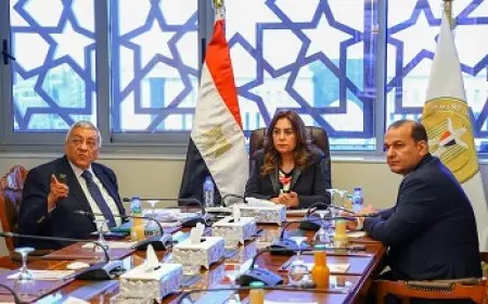 وزيرة التنمية المحلية: نسعى لتحسين جودة حياة المواطنين وتقديم خدمات أفض