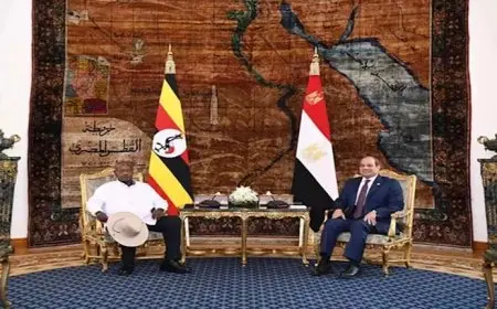 ماذا نعرف عن “سد أنجلولو” الذي تنوي مصر المساهمة في بنائه؟