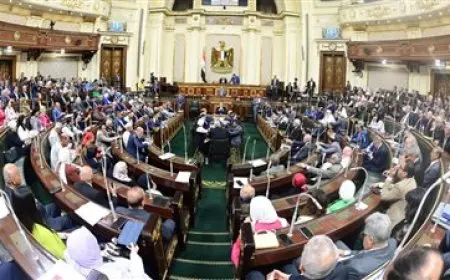 سؤال برلماني للحكومة حول سياسات وزارة الصحة للوقاية من أمراض الفشل الكلوي والأورام